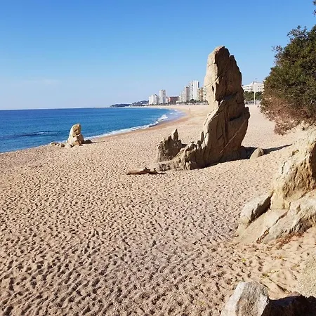 Cosmopolita Boutique &